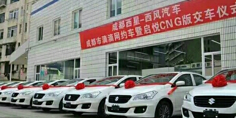 西风汽车租赁公司 专业汽车租赁服务，满足您的出行需求